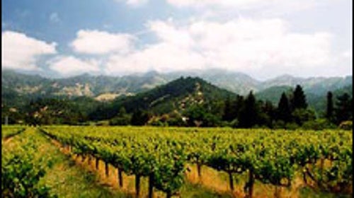 Napa Valley, CA