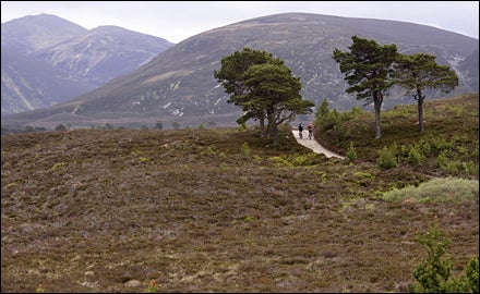 Scotland