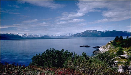 Glacier Bay