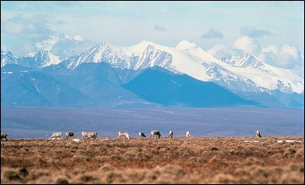 ANWR