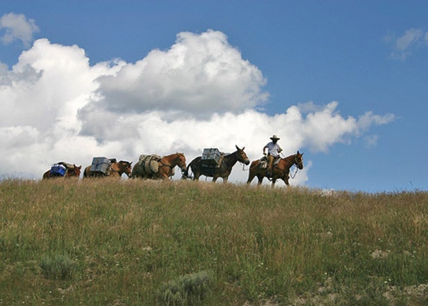 Yellowstone National Park