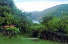 Paradise this way: trailhead on Guana Island