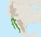 SONORAN > IN BRIEF Classic desert full of 50-foot-tall saguaro cacti and endless small mesquite, paloverde, and ironwood trees. Its seven subdivisions, including California's Colorado Desert, cover 120,000 square miles that are the hottest and driest in North America.