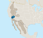 MOJAVE > IN BRIEF The smallest desert in North America, the Mojave is a transition zone between the Sonoran and Great Basin covering 25,000 square miles, where distinctive Joshua trees and creosote bushes dominate the landscape.