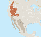 GREAT BASIN >IN BRIEF This 200,000-square-mile basin-and-range country is known for its cold winters, beautiful sandstone arches, and slot canyons. Extending all the way into Canada, the Great Basin is dominated by plains full of sagebrush.