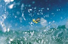 Giving in to the addiction: the power zone off Maui