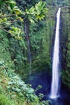 The Big Island's Alaska Falls