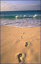 Walk this way: stepping into Cuba's Cayo Largo