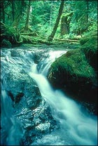 canada parks, adventures