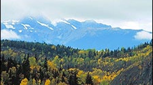 Going up: Alaska's green and white glory