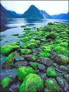 Milford Sound, New Zealand