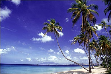 Caribbean Resort, Nevis