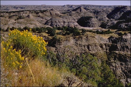 Theodore Roosevelt National Park