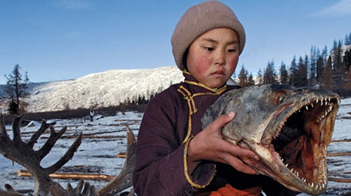 Mongolia's catch-and-release regulations for taimen are strictly enforced.