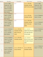 Training Plan