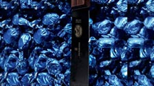 Victorinox Butcher Knife