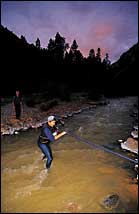 Aggh, That's Cold: A color-coordinated runner wades through the Uncompaghre River.