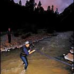 Aggh, That's Cold: A color-coordinated runner wades through the Uncompaghre River.