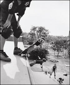 11 Scared ideas  scared, scared face, skateboard swing