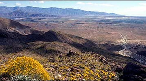 Anza-Borrego Desert State Park