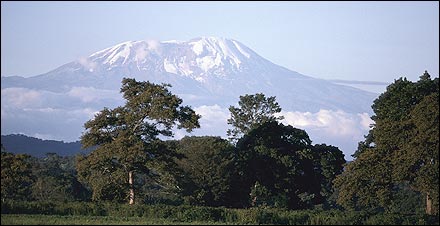 Kilimanjaro