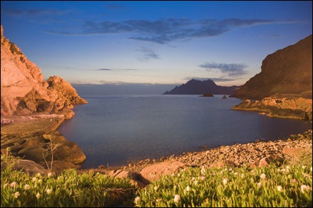 Mediterranean, Corsica