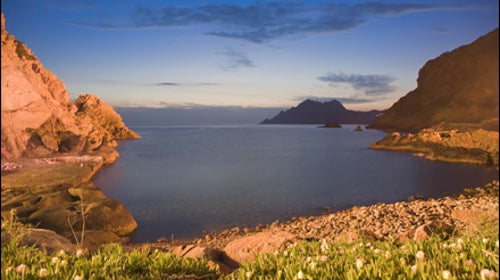 Mediterranean, Corsica