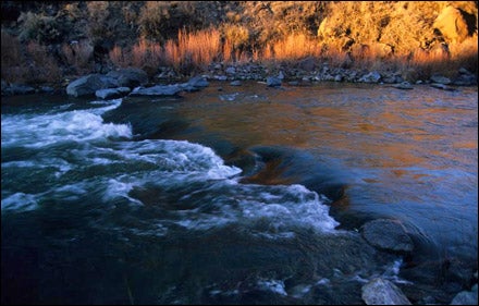 Rio Grande, Taos