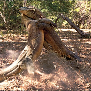 Discovery's Life TV series