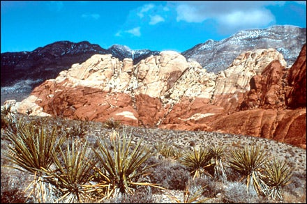 Red Rock Canyon