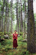 Bhutan Forest
