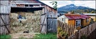 Ranches along the Carretera Austral