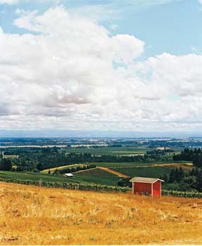 Willamette Valley