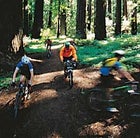 Redwoods riders on the Lost Coast, south of Eureka