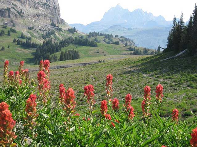 Grand Tetons