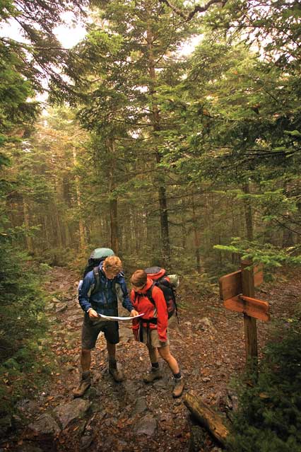 The Long Trail in Warren, Vermont