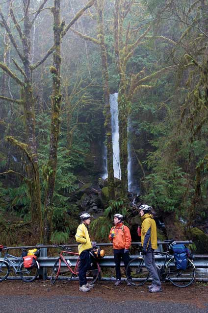 Pacific Coast Route in Washington's Quinault Valley