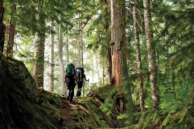 The Pacific Crest Trail in Washington