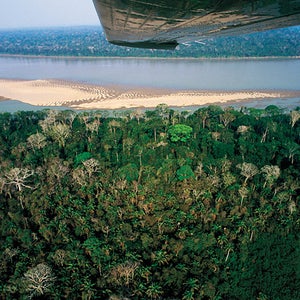 Bolivian Amazon