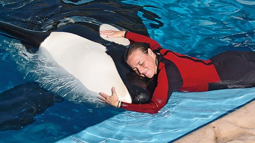 OSHA Goes After SeaWorld, Part 2