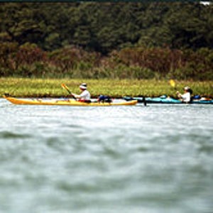 Salt marshes at the southern tip of Chesapeake Bay