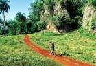 Hot Wheels: the Rocky MF trail in the El Choco National Park, Dominican Republic