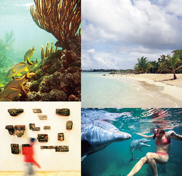 Clockwise: a beach in Roatán; swimming with dolphins; archaeological artifacts; life underwater