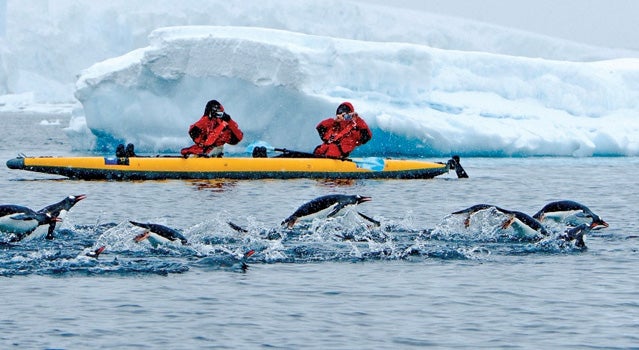 An up-close view of the Antarctic