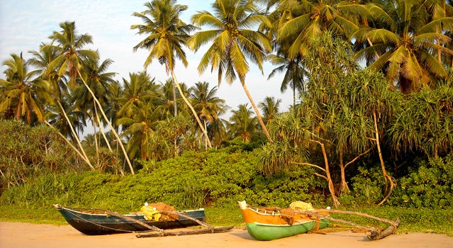 Surfing Sri Lanka's Empty Breaks