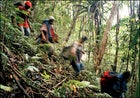 Papua New Guinea