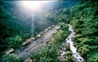 Papua New Guinea