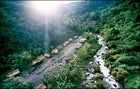 Papua New Guinea