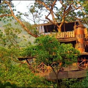 Travel tips and gear