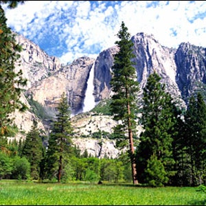 Yosemite National Park